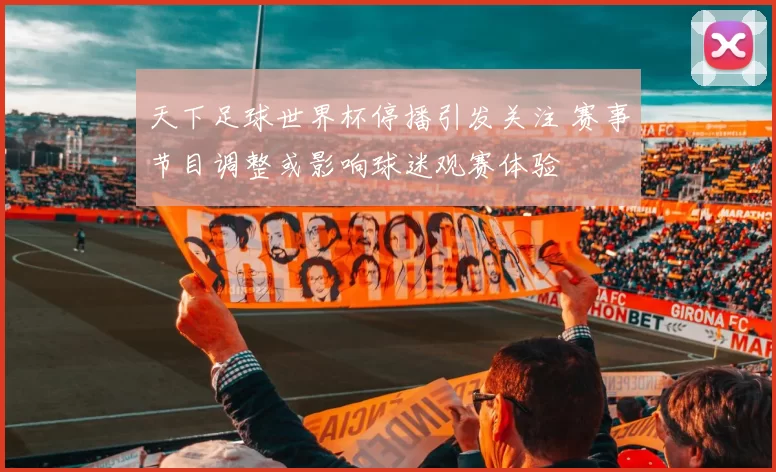 天下足球世界杯停播引发关注 赛事节目调整或影响球迷观赛体验