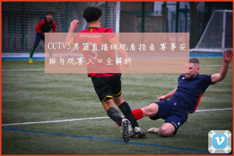 CCTV5男篮直播线观看指南 赛事安排与观赛入口全解析