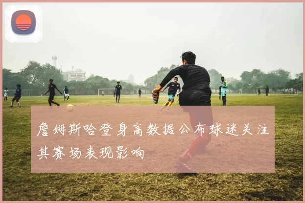詹姆斯哈登身高数据公布球迷关注其赛场表现影响